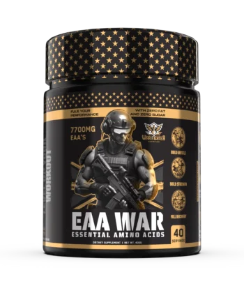 War Soilder EAA